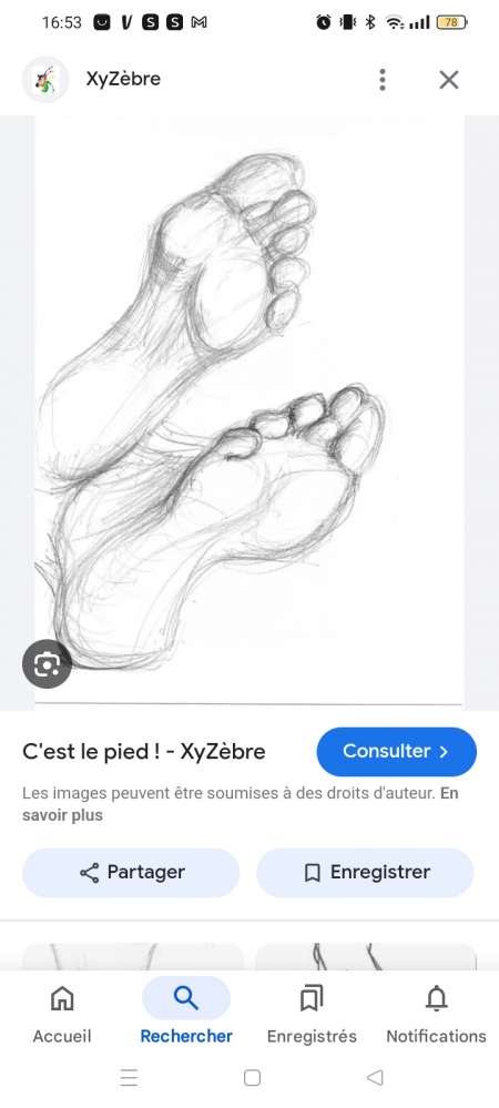 Pieds  disposition